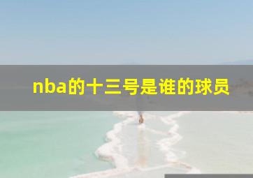 nba的十三号是谁的球员