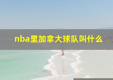 nba里加拿大球队叫什么