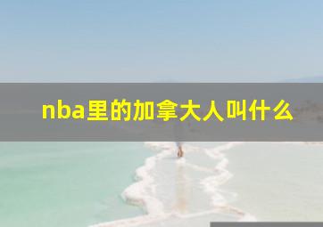 nba里的加拿大人叫什么