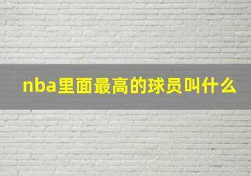 nba里面最高的球员叫什么