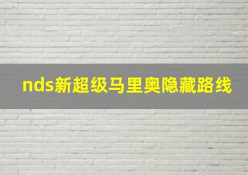 nds新超级马里奥隐藏路线