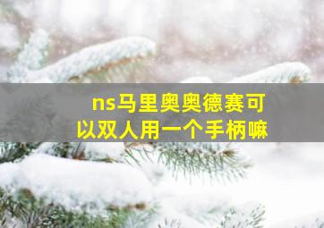 ns马里奥奥德赛可以双人用一个手柄嘛