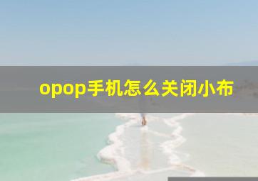 opop手机怎么关闭小布