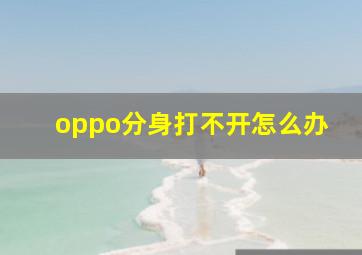 oppo分身打不开怎么办