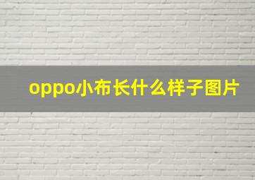 oppo小布长什么样子图片