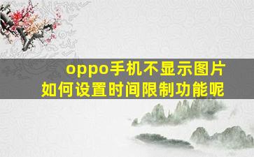 oppo手机不显示图片如何设置时间限制功能呢