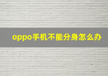 oppo手机不能分身怎么办