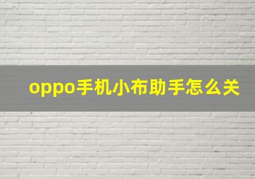 oppo手机小布助手怎么关