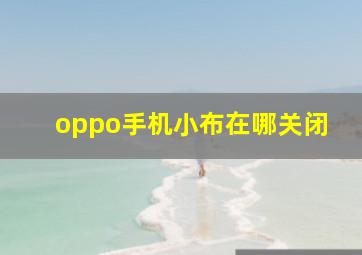 oppo手机小布在哪关闭