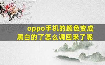 oppo手机的颜色变成黑白的了怎么调回来了呢