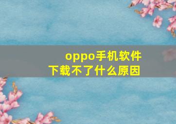 oppo手机软件下载不了什么原因