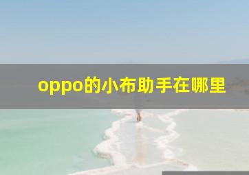 oppo的小布助手在哪里