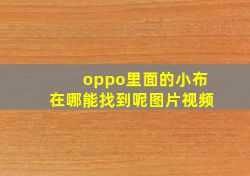 oppo里面的小布在哪能找到呢图片视频