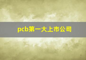 pcb第一大上市公司