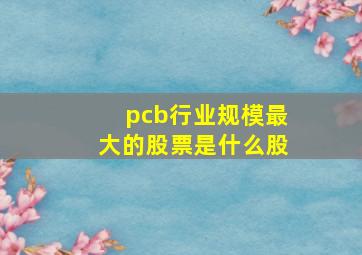 pcb行业规模最大的股票是什么股