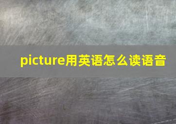 picture用英语怎么读语音