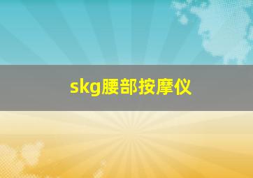 skg腰部按摩仪