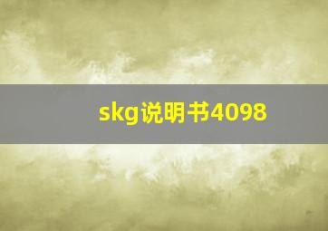 skg说明书4098