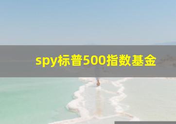 spy标普500指数基金