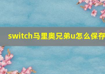 switch马里奥兄弟u怎么保存