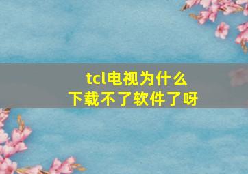 tcl电视为什么下载不了软件了呀