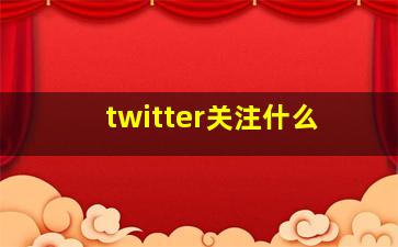 twitter关注什么