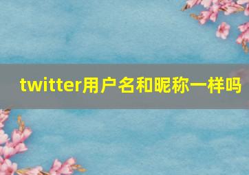 twitter用户名和昵称一样吗