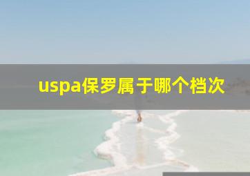 uspa保罗属于哪个档次