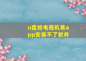 u盘给电视机装app安装不了软件