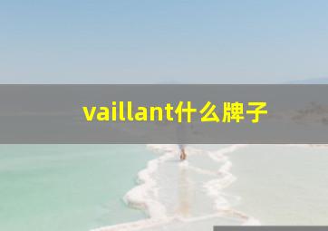 vaillant什么牌子