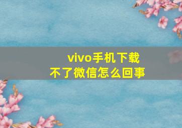 vivo手机下载不了微信怎么回事