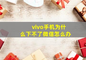 vivo手机为什么下不了微信怎么办