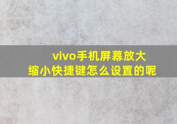 vivo手机屏幕放大缩小快捷键怎么设置的呢