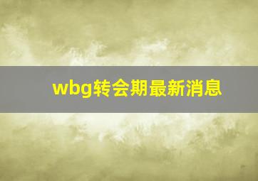 wbg转会期最新消息