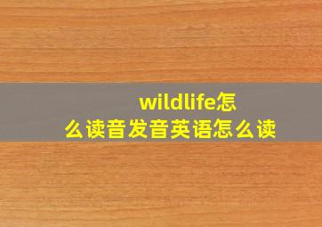 wildlife怎么读音发音英语怎么读