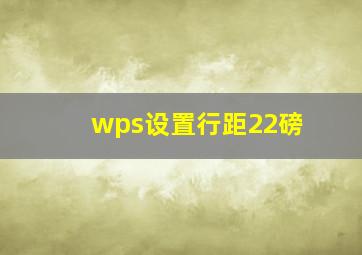 wps设置行距22磅