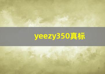 yeezy350真标