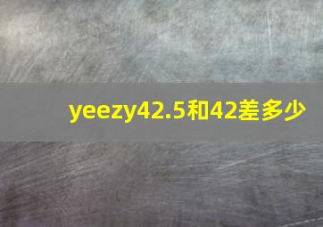 yeezy42.5和42差多少