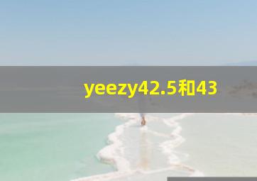 yeezy42.5和43