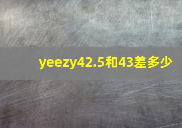 yeezy42.5和43差多少