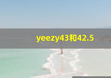 yeezy43和42.5