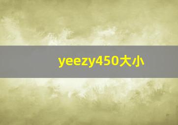 yeezy450大小