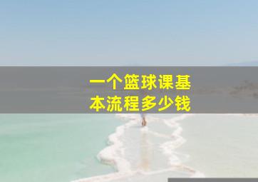 一个篮球课基本流程多少钱