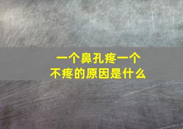 一个鼻孔疼一个不疼的原因是什么