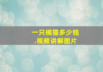 一只橘猫多少钱.视频讲解图片