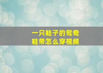 一只鞋子的鸳鸯鞋带怎么穿视频