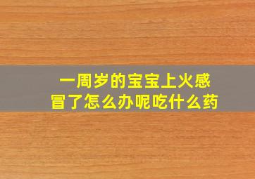 一周岁的宝宝上火感冒了怎么办呢吃什么药