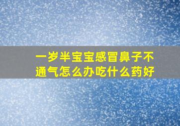 一岁半宝宝感冒鼻子不通气怎么办吃什么药好