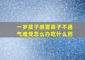 一岁孩子感冒鼻子不通气难受怎么办吃什么药