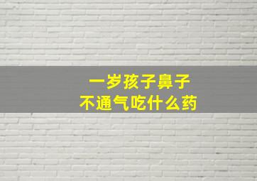 一岁孩子鼻子不通气吃什么药